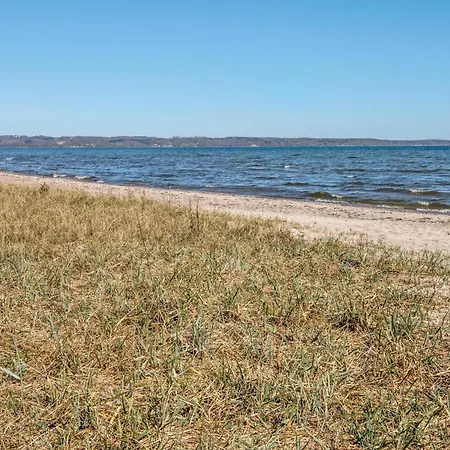 5 Person In Borkop-by Traum * 보르콥