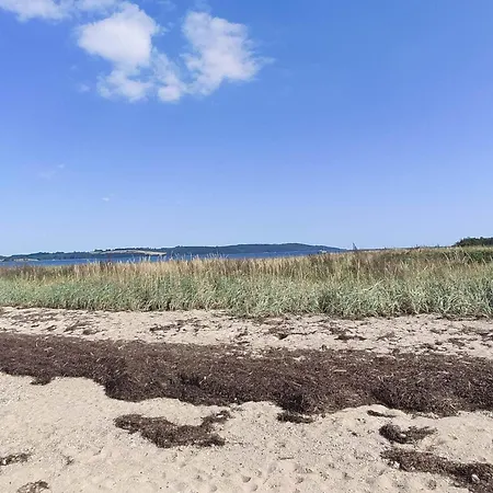 아파트 5 Person In Borkop-by Traum *