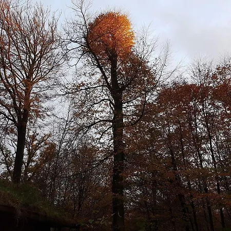 Appartamento 5 Person In Borkop-by Traum *