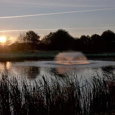 5 Person In Borkop-by Traum *