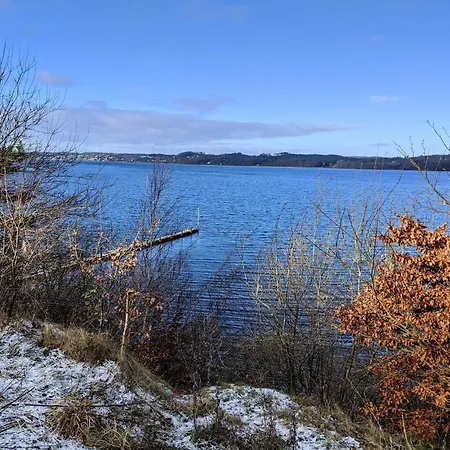 5 Person In Borkop-by Traum *