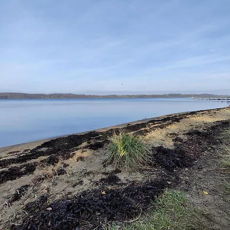 5 Person In Borkop-by Traum