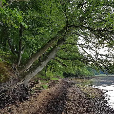 아파트 5 Person In Borkop-by Traum *