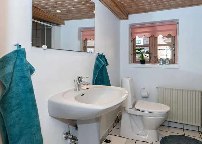 アパート 5 Person In Borkop-by Traum ボルコップ