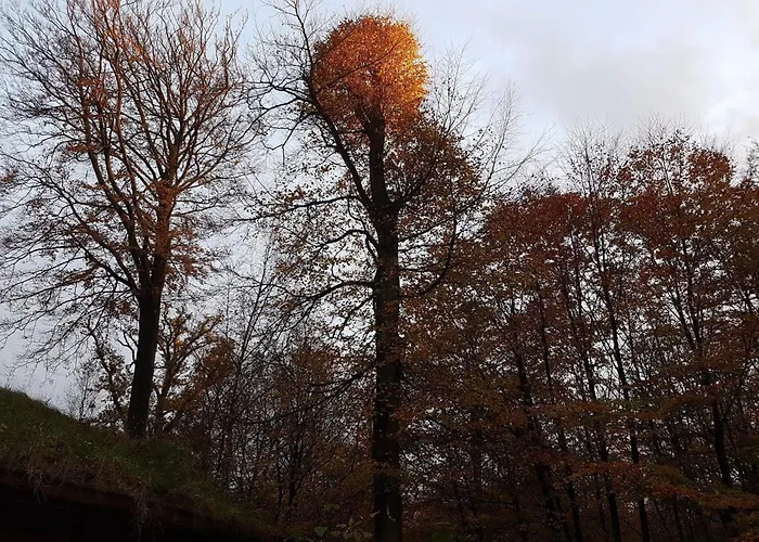 アパート 5 Person In Borkop-by Traum *