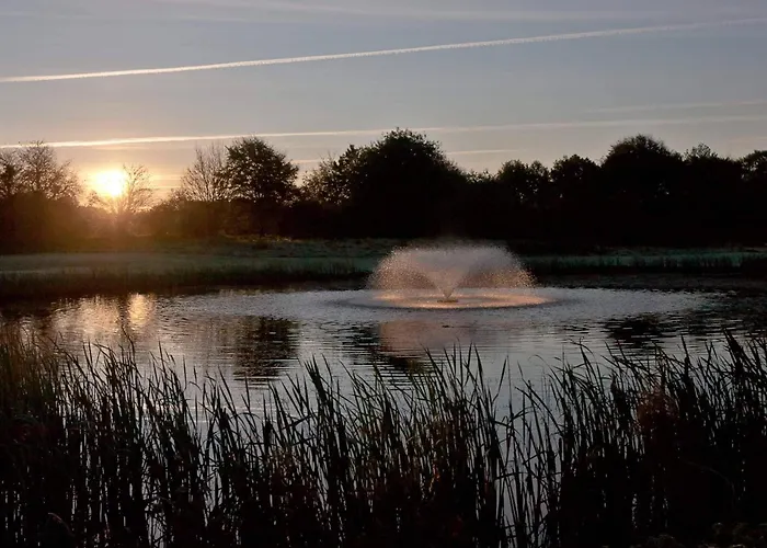 5 Person In Borkop-by Traum *