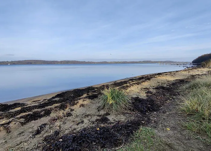 5 Person In Borkop-by Traum