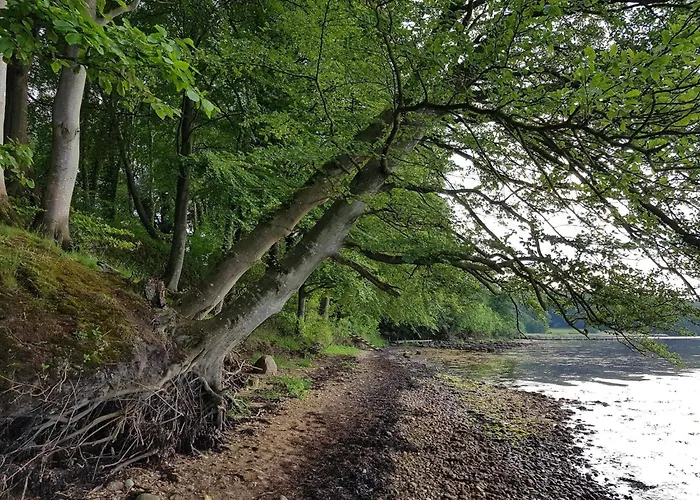 アパート 5 Person In Borkop-by Traum *